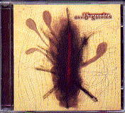 David Sylvian - I Surrender 2 x CD Set